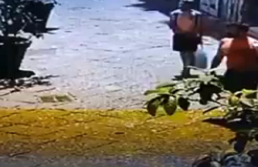 [VIDEO] Napoli, legano un cane a un palo e fuggono: caccia a due malviventi