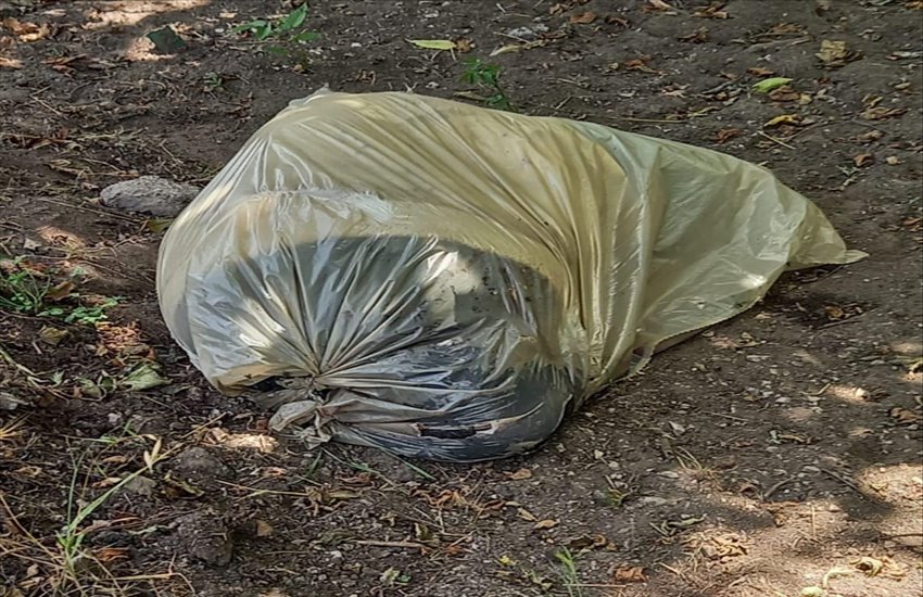 Macabro ritrovamento nel nolano tra Scisciano e Saviano: resti umani racchiusi in buste di plastica