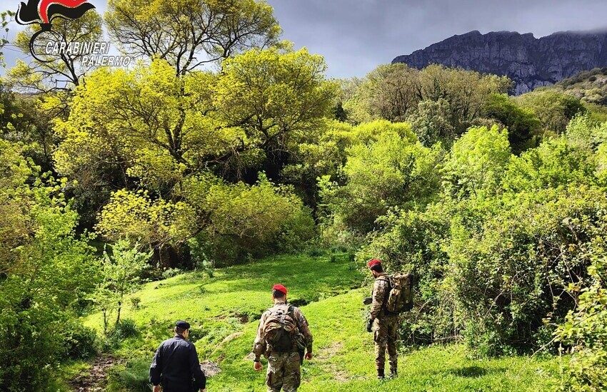 Misilmeri, centinaia di animali rinchiusi in pessime condizioni: denunciato 71enne