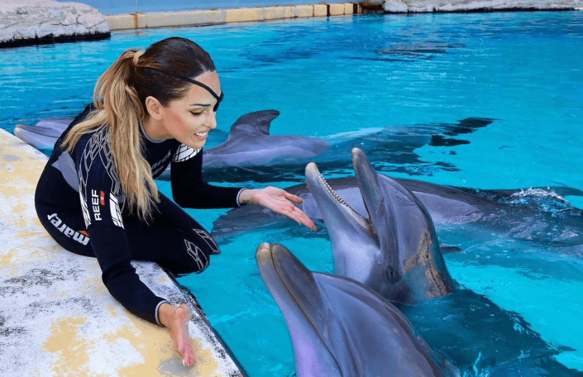Gessica Notaro torna dai delfini: “A loro non interessa il mio aspetto” (VIDEO)