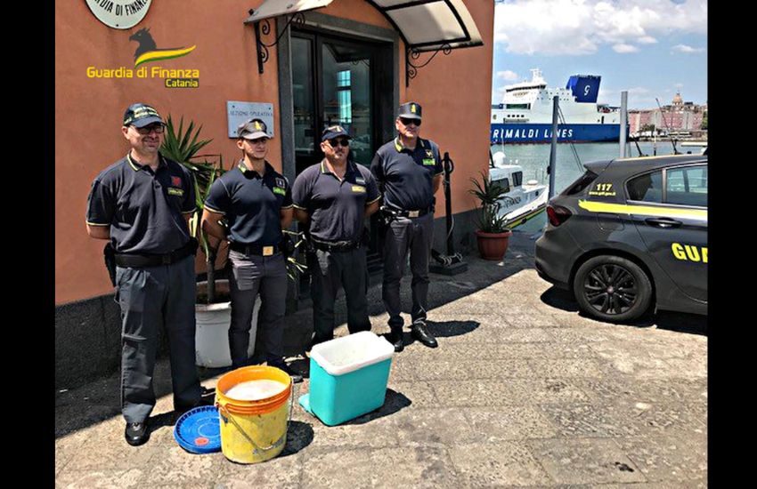 Sequestrati al porto di Catania 60 chilogrammi di novellame di sarda noto come “bianchetto”
