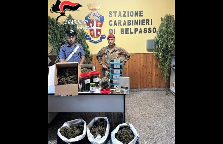 Belpasso, coltivatore professionista di erba “pregiata”: arrestato con soldi e droga