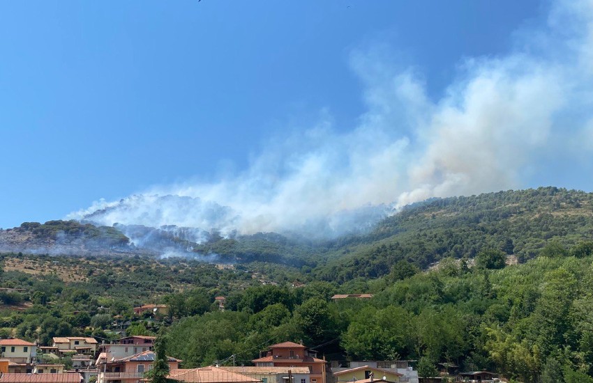 Devastante incendio a Sezze: a fuoco la pineta in zona Casali