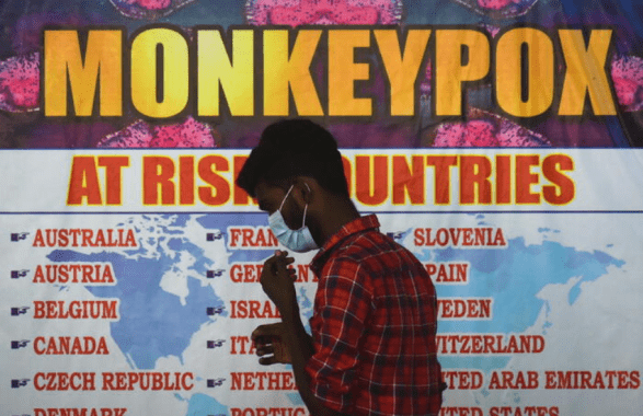 vaiolo delle scimmie