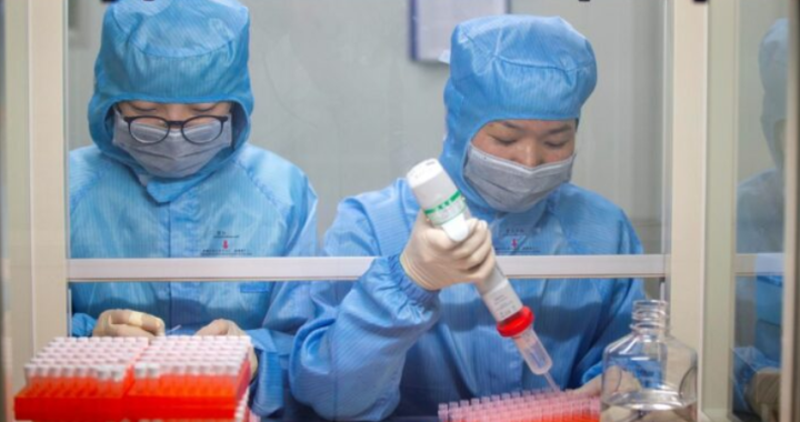 Cina, allarme per un nuovo virus con mortalità alta
