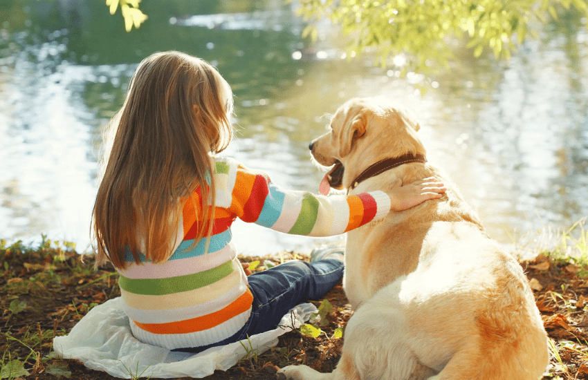 Giornata Mondiale del Cane: i benefici dell’averlo accanto