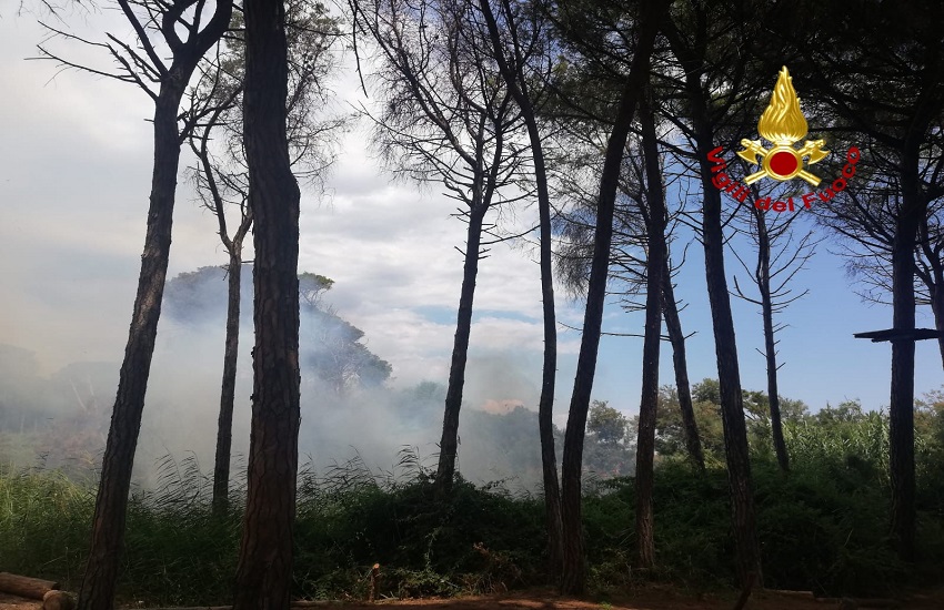 [FOTO] Boschetto della Playa, a fuoco diversi ettari di vegetazione: in corso operazioni di bonifica della Forestale
