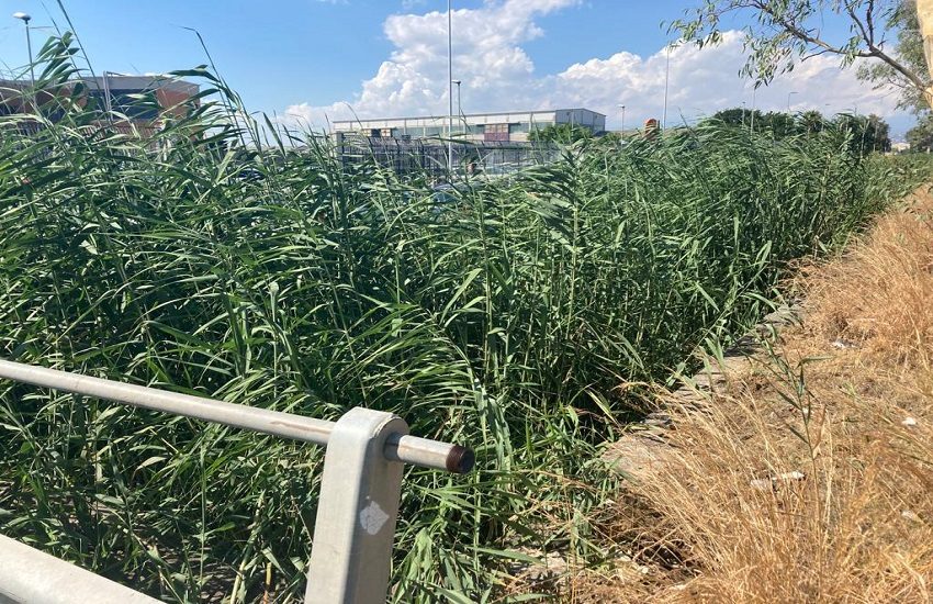 Pulizia torrenti e canali di scolo Zona Industriale Catania, Ugl Metalmeccanici: “Non può essere sempre il privato a farla”