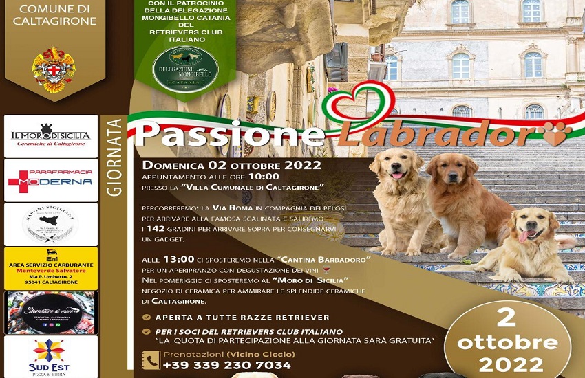 Caltagirone, domenica 2 ottobre Passione Labrador per la giornata dedicata ai cani