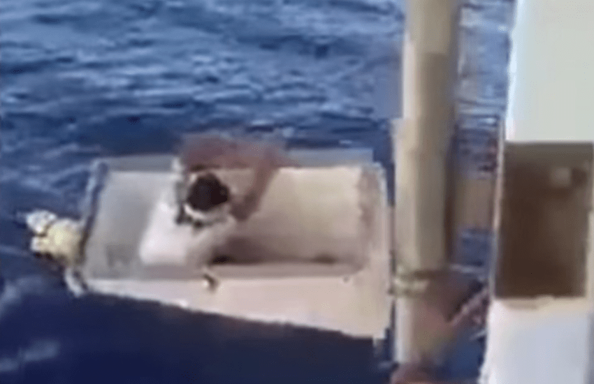 Naufrago si salva dentro un congelatore alla deriva per 11 giorni (VIDEO)