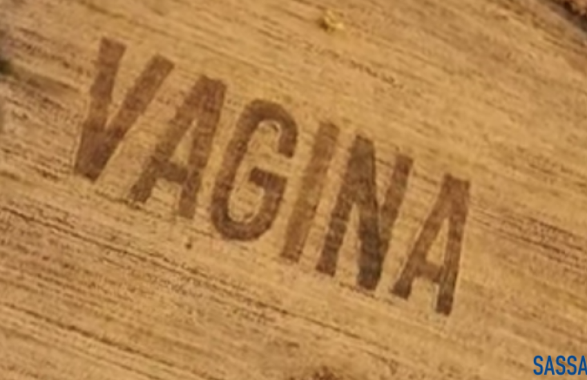 Sardegna: compare la scritta “Vagina” su un campo di grano