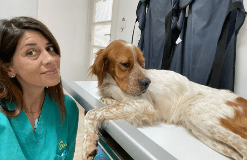 Ferito e abbandonato sulla strada: giovane Breton rinasce grazie alla donna che lo ha salvato