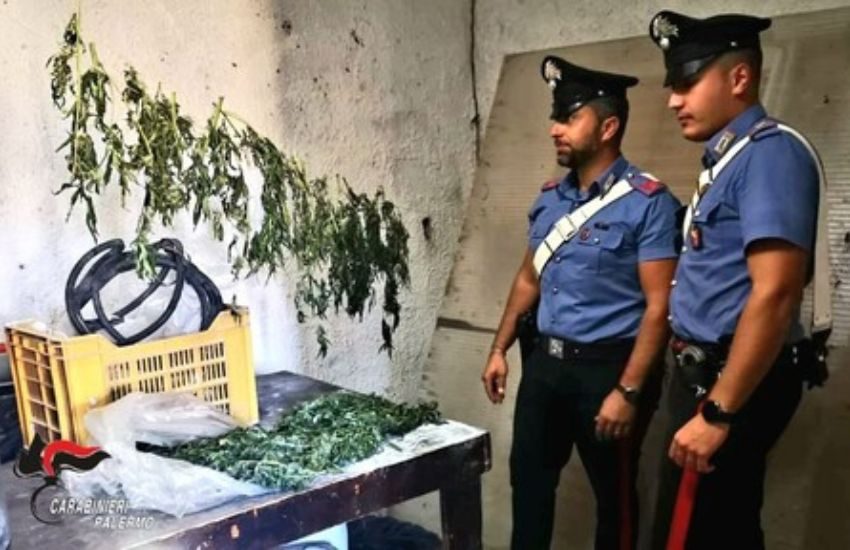Partinico, 2 kg di droga nascosti in una stalla, arrestati due pastori