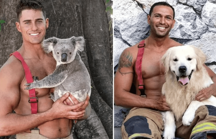 Il calendario sexy dei vigili del fuoco per proteggere gli animali
