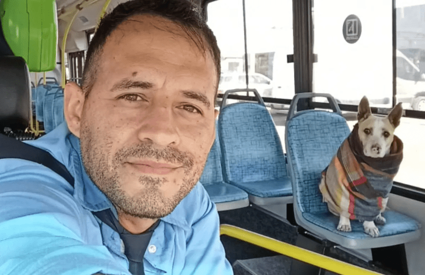 Corchito e Lucas: la magica amicizia fra un cane e l’autista di autobus (VIDEO)
