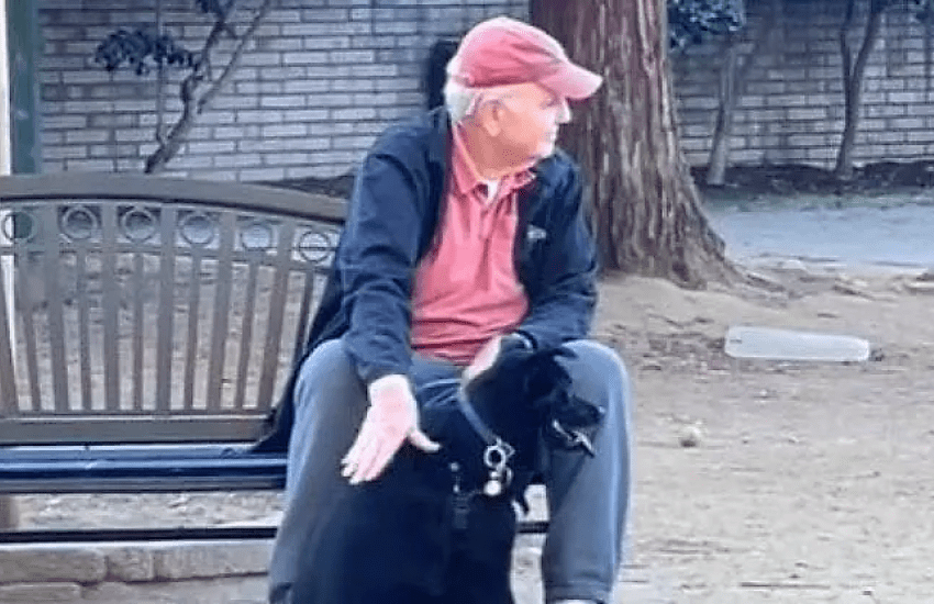 Blue, il cane che “Trova sempre le persone che hanno bisogno di un po’ di amore” (VIDEO)