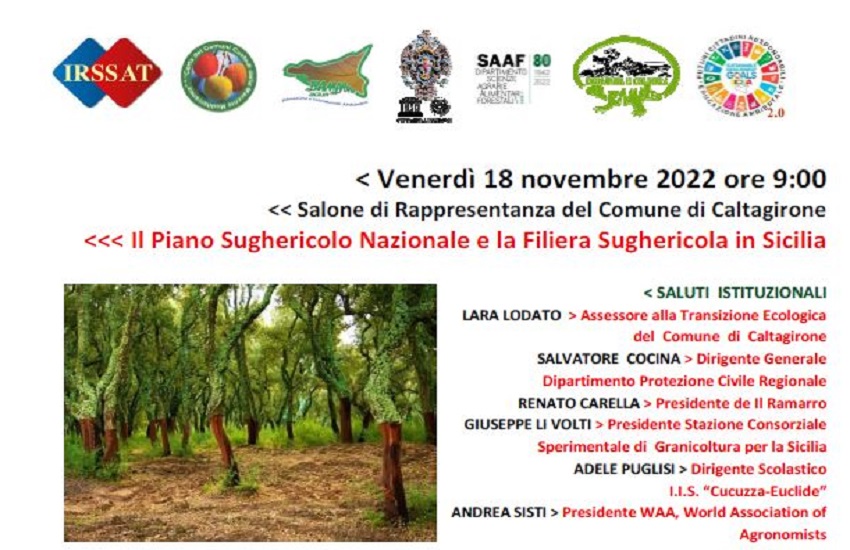 Caltagirone, convegno sulla filiera del sughero in Sicilia domani venerdì 18 novembre