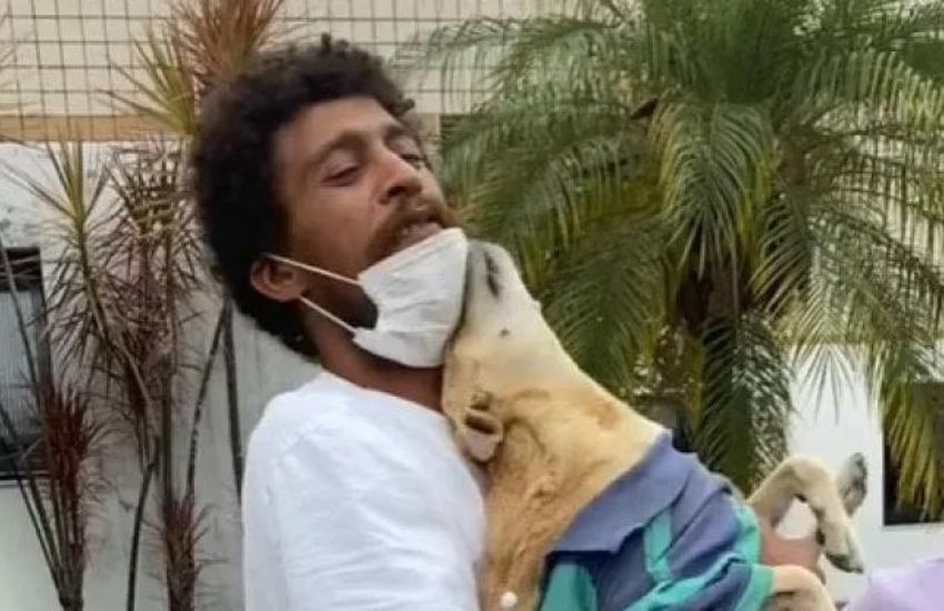 Il cane Mel aspetta ogni giorno fuori dall’ospedale il proprietario ricoverato: il video è da brividi