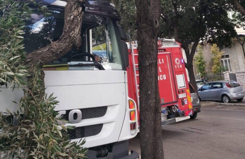 Maltempo, ramo cade su un’auto lungo la Pontina. Disastro evitato per un soffio