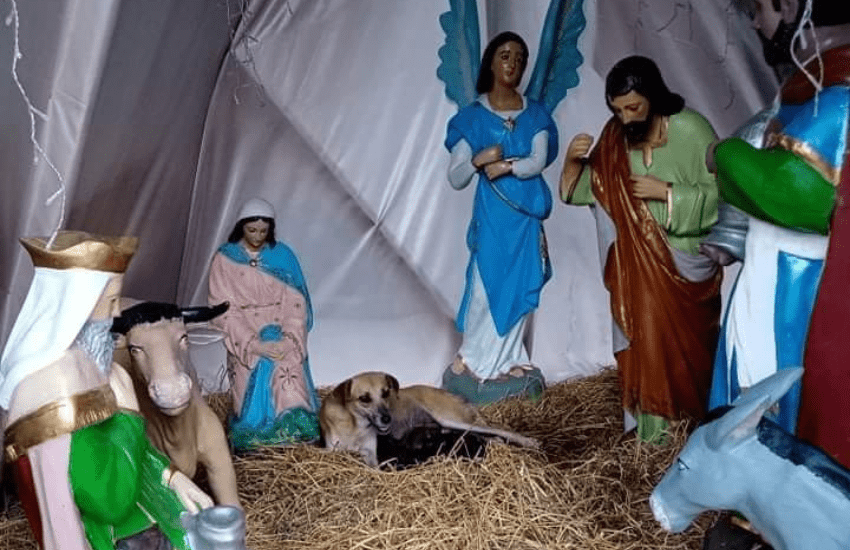 Partorisce nella mangiatoia del presepe pubblico e gli abitanti la accudiscono