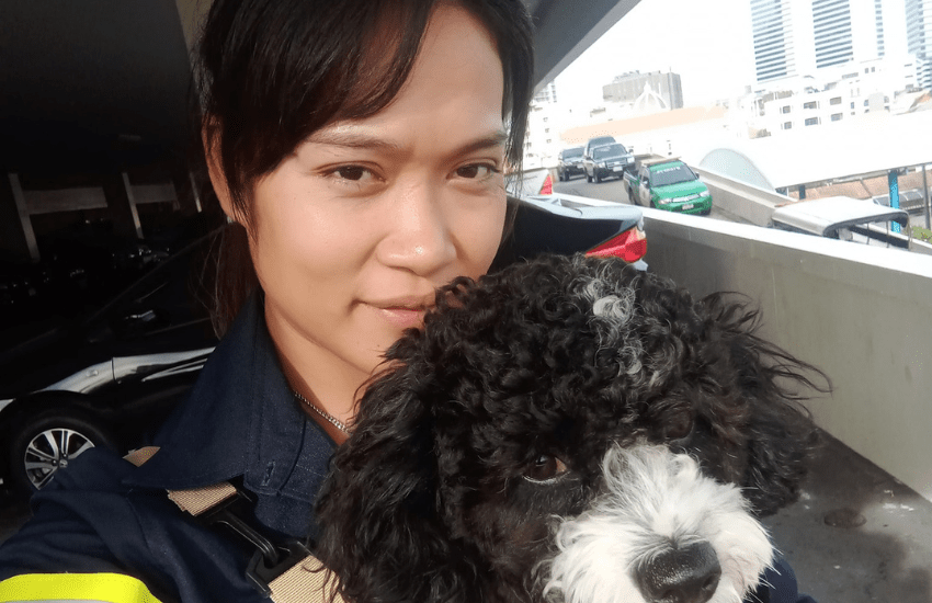 Non vuole rinunciare alla compagnia del suo cane mentre lavora: le foto della soluzione diventano virali