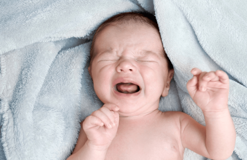 Modena, allarme neonati scossi: indagati genitori e piccoli allontanati dalle famiglie