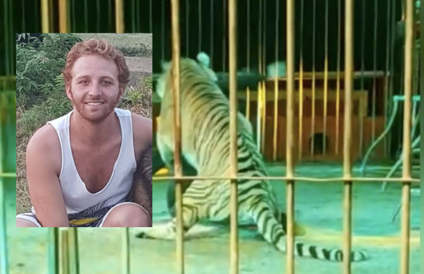Ivan Orfei aggredito da una tigre durante lo spettacolo: “E’ stato un mio errore” (VIDEO)