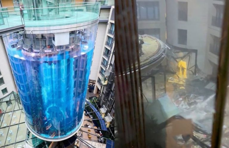 Sea Life, esploso il più grande acquario cilindrico del mondo: morti 1. ...