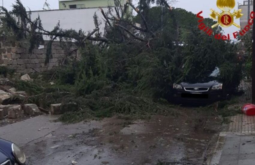 Maltempo nel Salento, nubrifagi, temporali e tromba d’aria. Alberi caduti sulle auto, muretti crollati, strutture divelte