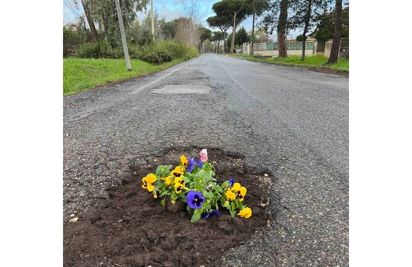 Fiori in una profonda buca in mezzo alla strada: la geniale trovata diventa subito virale
