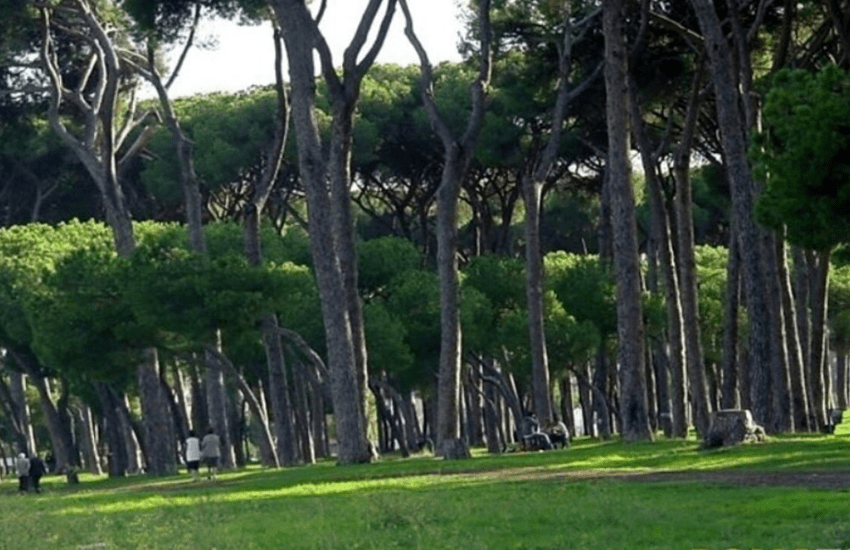Roma: disabile picchiato e rapinato dal branco nel parco del Pineto
