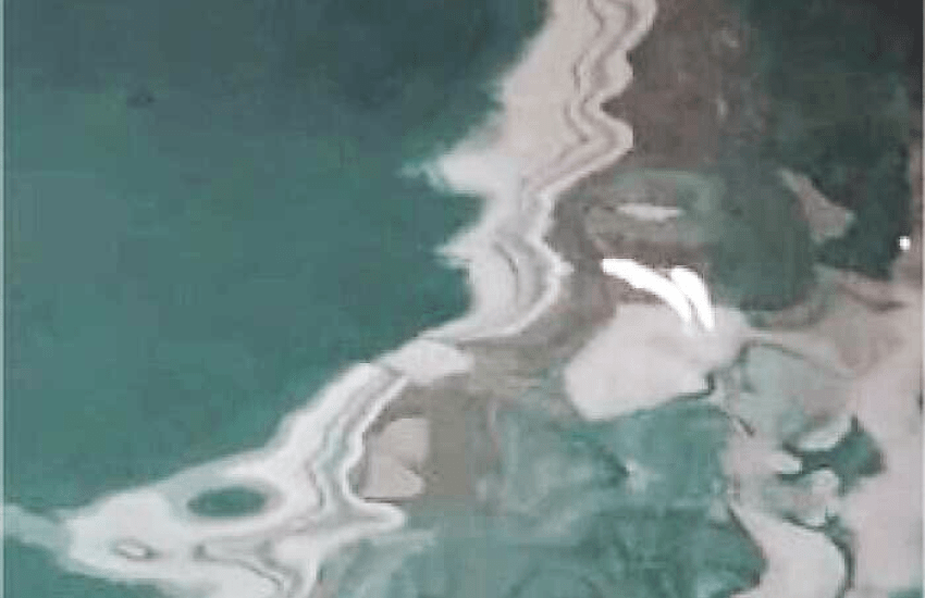 Venezia: il mistero della moria di pesci