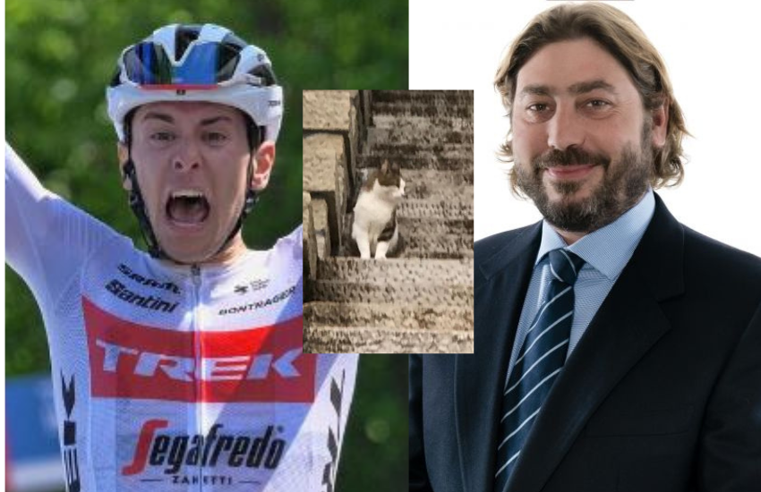 San Marino: campione di ciclismo spara al gatto del ministro e lo uccide