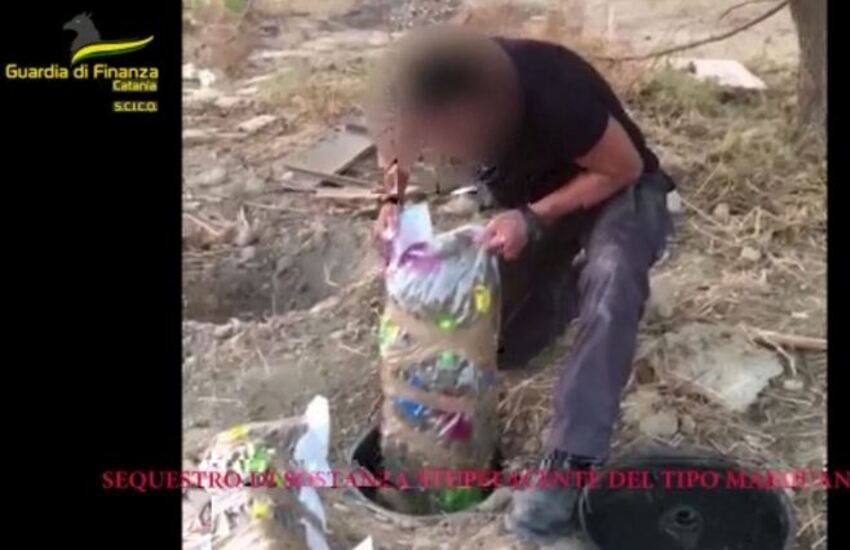 Catania, sequestrati 435 kg di marijuana e 11mila piante di cannabis: decine di arresti