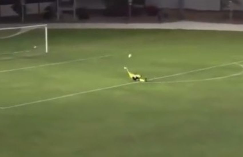 Il gesto di fair play si trasforma in una comica fantozziana: il video che fa ridere il web