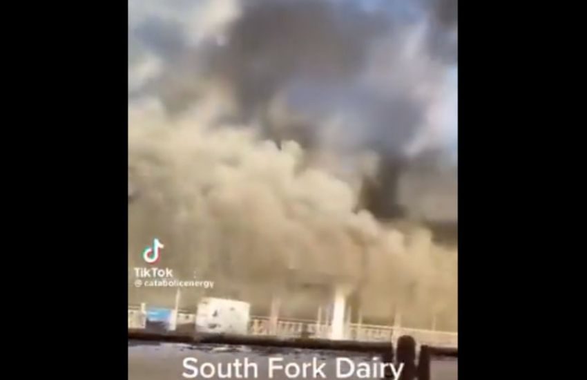 Texas, esplode fattoria, morte 18mila mucche – VIDEO choc