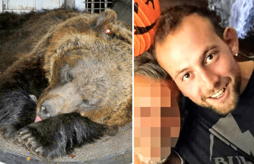 Morte Andrea Papi: gli orsi Jj4 e MjS sono salvi. Anche il Consiglio di Stato contro l’abbattimento
