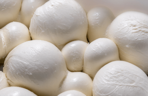 mozzarella