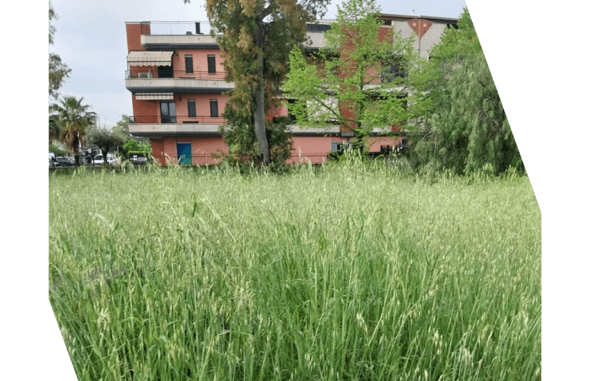 Il giardino dell’asilo di Borgo Santa Maria è impraticabile: la protesta delle mamme