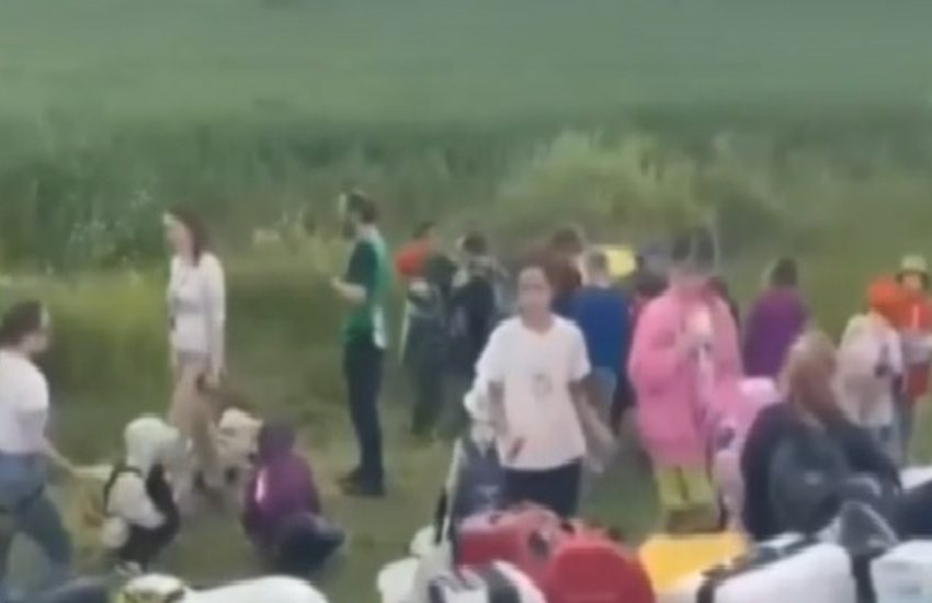 Alla scolaresca in gita non piace come guida l’autista, lui li scarica tutti in mezzo alla campagna