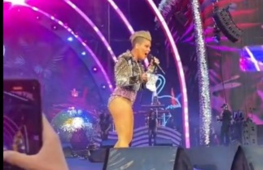 Fan lancia le ceneri della madre alla cantante Pink durante un concerto