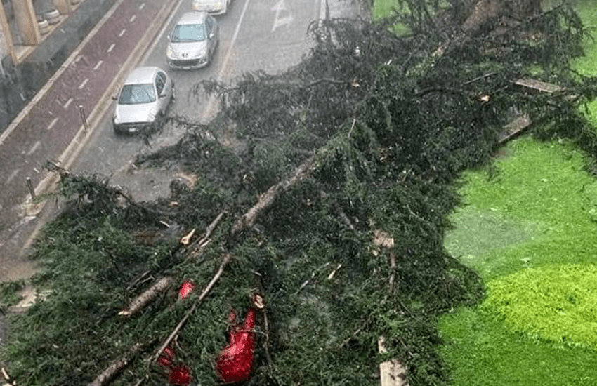 Maltempo: donna schiacciata da un albero