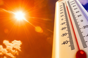caldo