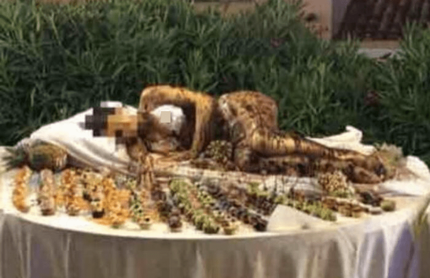 Buffet con ragazza ricoperta di cioccolato: infuriano le polemiche