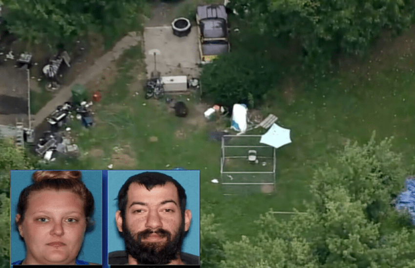 Costretto a vivere con 30 cani morti: l’orrore vissuto da un bambino