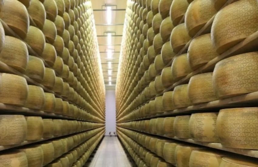 Travolto e sepolto da 25.000 forme di Grana Padano, si scava tra le macerie