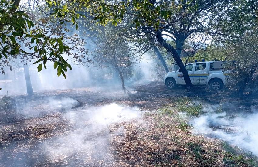 Giornata di incendi a Sezze: in fumo un oliveto e due ettari di macchia mediterranea