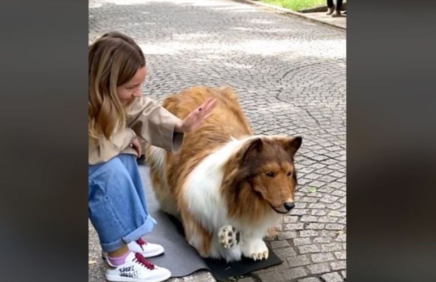 Tokyo: prima passeggiata in pubblico per l’uomo che ha speso 15mila dollari per diventare un cane