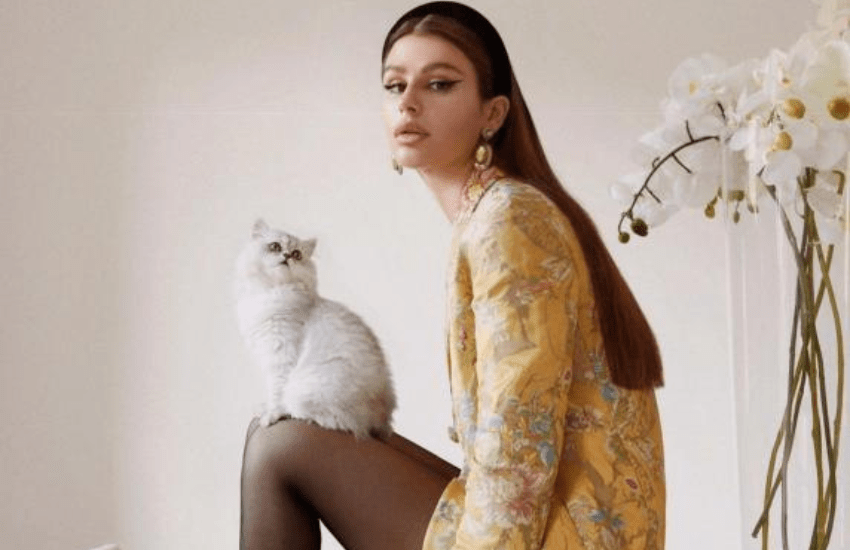 Nima Benati: “Aiutatemi a ritrovare Bartolo, è come un figlio”. L’ombra di un rapitore di gatti nel bolognese