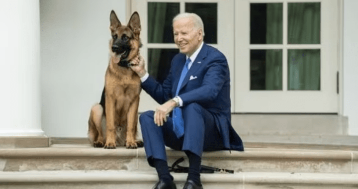 Biden